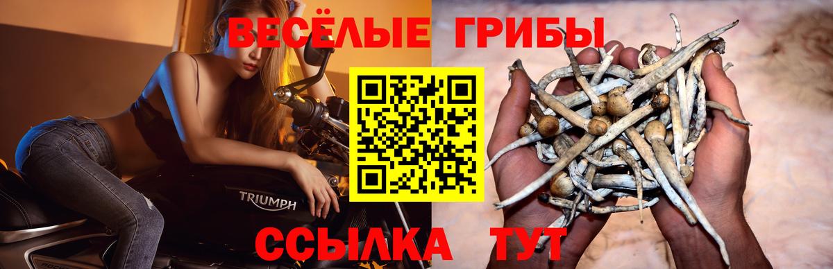 Галлюциногенные грибы Magic Shrooms Артём